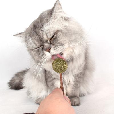 China JXANRY Cat Toy Pet Fashion Cat Mint Ball Cat Snack Catnip Toys Wholesale Viable Pet Supplier for sale