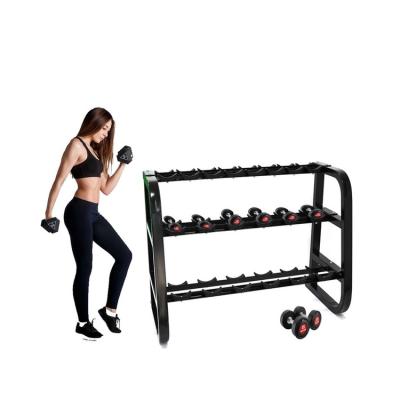 China Modern Hot Sale Gym Equipment Dumbbell Storage Rack for sale