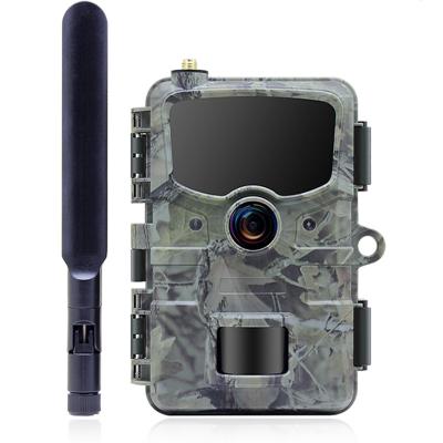 China Wholesale Weather-Resistant Redleaf ip66 1080p 24MP 4G Outdoor Cellular Mini Trail Hunting Camera for sale