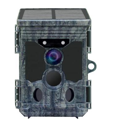 China New Solar Panel 4K IP66 Outdoor Waterproof Infrared Wireless Wildlife Hunting Trail Camera 4400mAh for sale