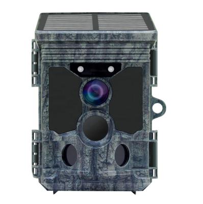 China Mini Redleaf Wholesale fhd outdoor 4k night vision solar 1080 wifi ip66 30mp wildlife hunting trail camera for sale