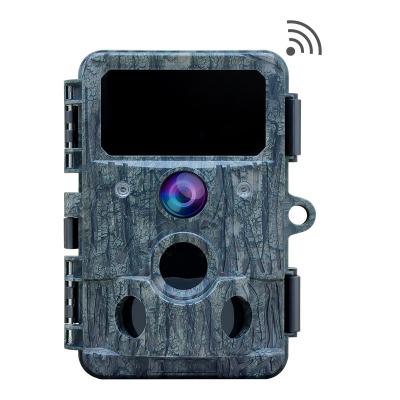 China Best Price Trail Camera Factory App Setting Best Price Surveillance Camera Digital Chinese Camera Manufacturer for sale