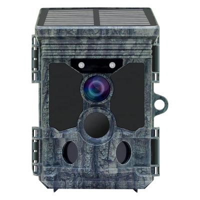 China App Setting Cheapest 2021Newest New Trail Camera Hunting Wireless Security Camera Battery Operated Deer Camera for sale