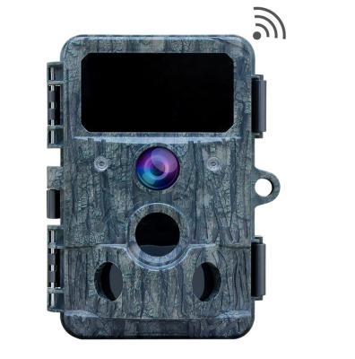 China 4k wifi hunting camera Redkeaf 4K 30MP WiFi Waterproof IP66 camera for hunting for sale