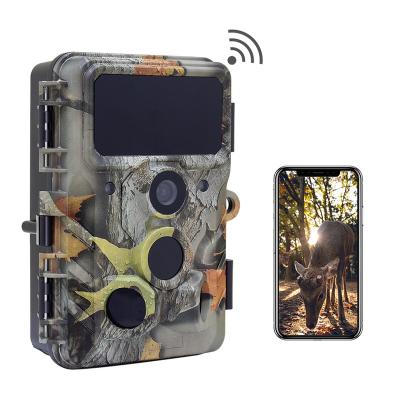 China Redleaf ip66 30mp wifi 4k waterproof outdoor fhd wildlife night vision solar hunting trail camera 1080 for sale