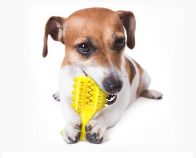 China Sustainable Custom Indestructible Pet Chew Ball Toys Corn Shape Tooth Cleaning Kong Guard Dog Chew Toy for sale