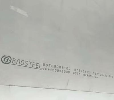 China Dauerhafte Laser-Ausschnitt-Edelstahl-Platten ordnen 304 316L 321 310S 2205 zu verkaufen