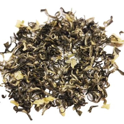 China High quality and cheap organic piaoxue loose tea best healthy flower tea with fresh jasmine for sale