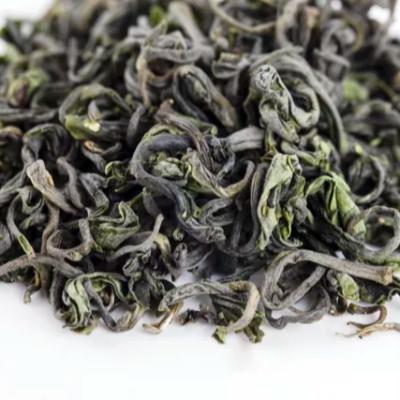 China Maofeng High Quality High Altitude Green Tea Organic Alpine Organic Chinese Loose Hot Maofeng Gift Tea Selling Green Tea Green Tea for sale