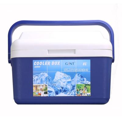 China GINT 8L Insulated Outdoor Camping Insulated Mini Size Ice Cooler Box Good Quality Portable Ice Chest for sale