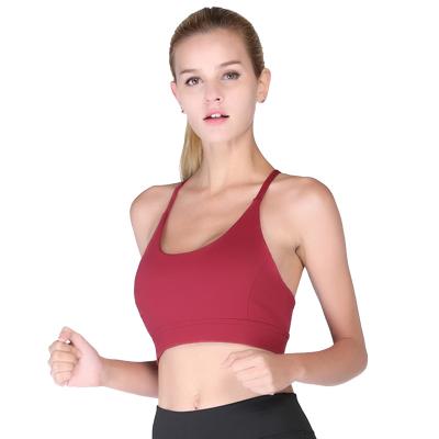 China Breathable Yoga Bra Non-steel Ring Non-steel Sports Underwear Shockproof Working Bra - Slim Embellishment for sale