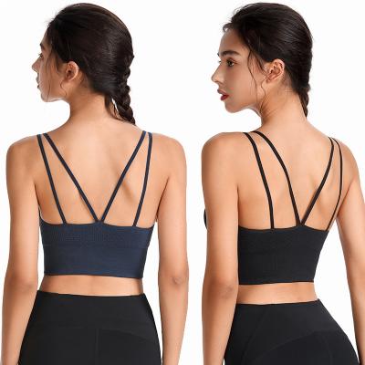 China Latest Fashion Yoga 2XL Sports Bra Cute Simple Elastic Spandex Workout Sport Big Size Seamless Sexy Seamless Women Workout Tops Gym Running Bras for sale