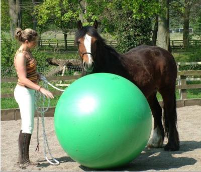 China 120CM.Mega Ball Horse Funny Toy.Horse Game Ball.Horse Training Ball H132 for sale