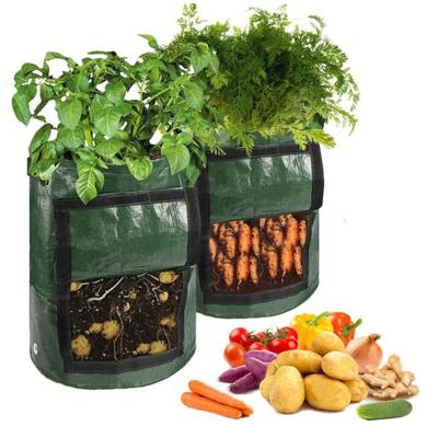 China Grow Bag Plant High Quality Garden Potato Plant Bag Grow Bags Pot Pe Woven Fabrics Grow Pots Green Mushroom Grow Bags for sale