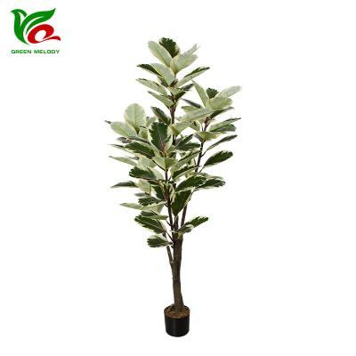 China Indor Decoration 160cm Ficus Trees Plastic Potted Artificial Oak Plants Home Decor for sale