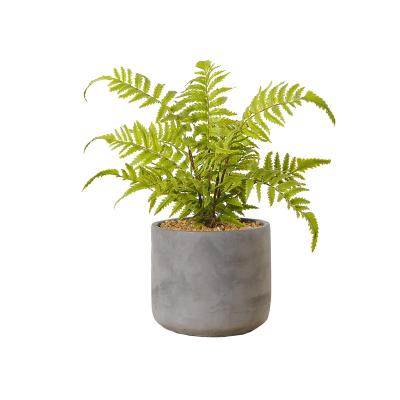 China Indor Artificial Decoration 36cm Fern Bonsai Green Plants With Cement Pot For Indoor Kitchen Home Farmhouse for sale