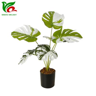 China Indor Decoration 47cm Height Bonsai Plants Monstera Plants With Pots Plants Table Artificial Tree Home Decor for sale