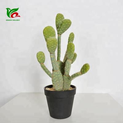 China Large Indoor Cactus Plant Style 42cm Desert Decoration Cacti Indoor Plants Decor Desk for sale