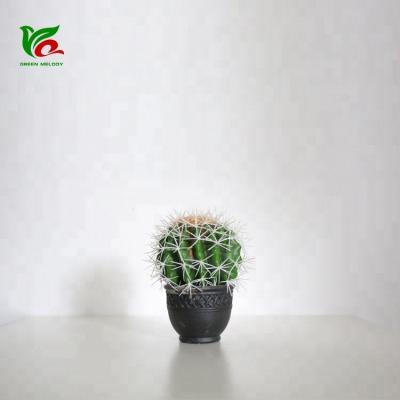 China Indoor Centerpiece 14cm Mini Cactus Design Semillas de Cactus Wholesale Decoration for Home Decor for sale