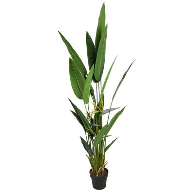 China Fake Mall Decoration Eco-friendly Indoor Decoration PEVA 1.8m Plastic Strelitzia Reginae Plant for sale