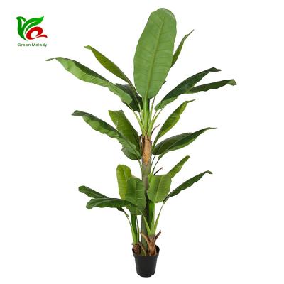 China Customized Lifelike Indoor Decoration 2.1m Hotel Decor Tall Artificial Banana Tree for sale