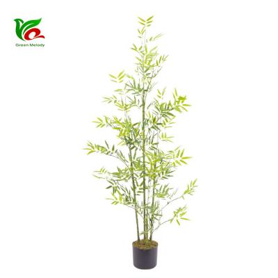 China Decorative Home Decor Landscape Indoor&Outdoor Beautify Plastic Mini Bamboo for sale