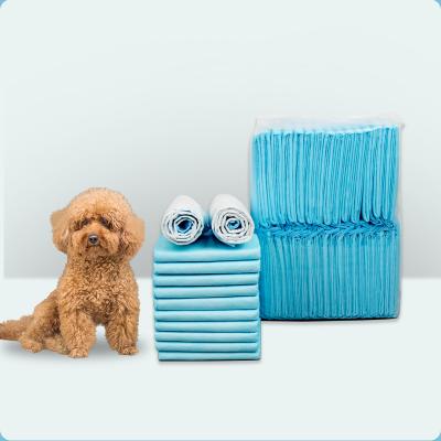 China Indoor Small Animals Super Absorbent and Leakproof Pet Toilet Training Pads for Puppy Cat Pet Training Pads for sale