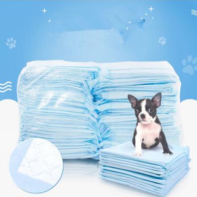 China Newest Arrival Small Animals All OEM/ODM Absorbent Attractive Mat Under Scented Dog Pee Puppy Training Pet Protective Grass Pad for sale