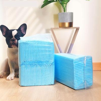 China Small Animals 2021 Premium Cat Puppy Pet Absorbent Pads Disposable Under Pad Bed Pet Urine Pads Pads for sale