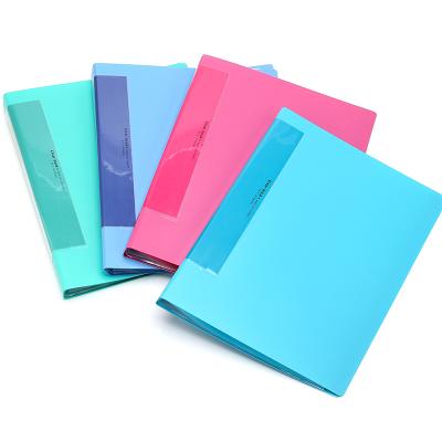 China Plastic School Document File Folder Cover Designs Recycled And Eco - Friendly Bag for sale