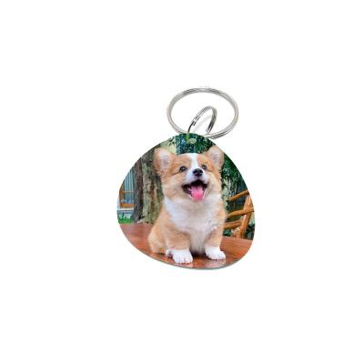 China Customized rfid tag fashion design rfid waterproof/waterproof micro waterproof rfid tag pets tag tags nfc epoxy tags for sale