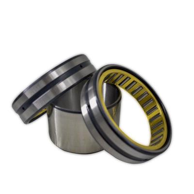 China Machinery Repair Shops China Quality Chrome Steel Double Row Cylindrical Roller Bearing Supplier for sale