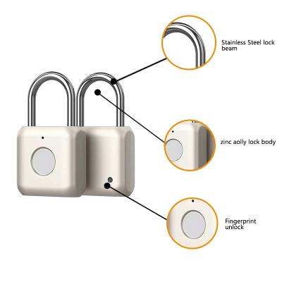 China High Security Durable Wholesale Stainless Steel Smart Fingerprint Padlock With High Quality for sale