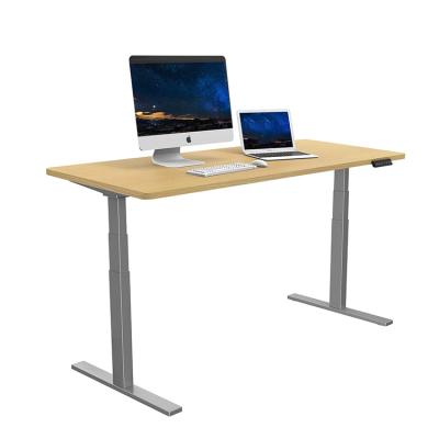 China (Height) FYED Electric Height Adjustable Free Standing Desk for sale