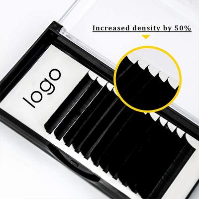 China Super Soft Black Color Lash Set Professional Tools Premade Fans Eyelash Extension for sale