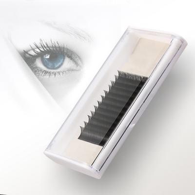 China Super Soft Korean Flowering Eyelash Extension Pillow Pre Made Eyelash Extensions for sale