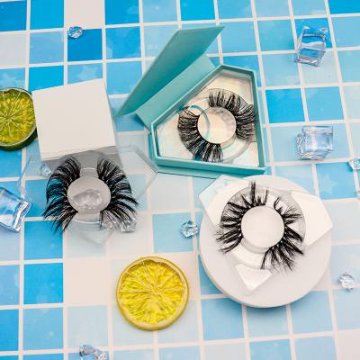 China Winged Natural Color Fiber Lashes Kits Show 3d Fiber Eco-friendly Premium Eyelashes for sale