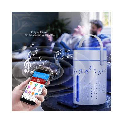 China Top Air Humidification+Light Amazon Sell Large Capacity Ultrasonic Air Cooling Cool Mist Cool Mist Humidifier with Music Player for sale