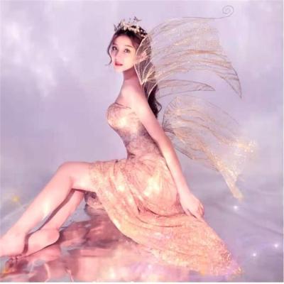 China Fantasy Show Back Model Back Decoration Props Fairy Angel Wings Costume Dragonfly Wings for sale