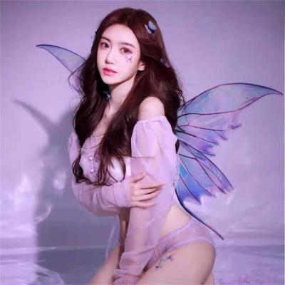 China Walk Show Fantasy Fairy Wings Costume Dragonfly Wings Show Back Decoration Props Large Real Butterfly Wings for sale