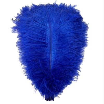 China Wholesale Spot 45-50cm Color Feather Wedding Decoration Clothing Decoration Ostrich Feather From Decorations Manufacturer Large for sale