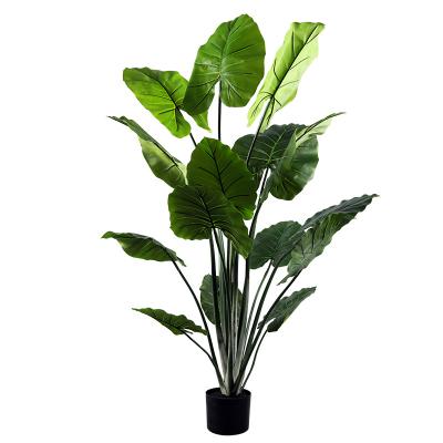 China Home/Hotel/Garden/Office Alocasia Macrorrhiza Artificial Tree Plants Bonsai Tree House Plastic Pots Decoration Garden Landscaping Indoor Palm Tree Decor 'factories for sale