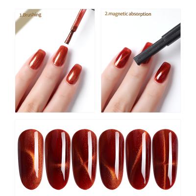 China UV Led Gel Polish 9d Polish Cat Eye Gel AKY Professional Nail Gel Nail Salon Product for sale