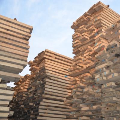 China Paulownia lumber prices for sale/Paulownia finger jointed board for sale