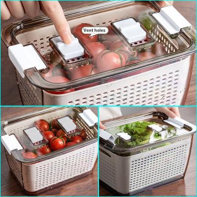 China Viable Double-Layer Transparent Drain Fridge Boxed Storage Fresh-Keeping Organizer With Lid for sale