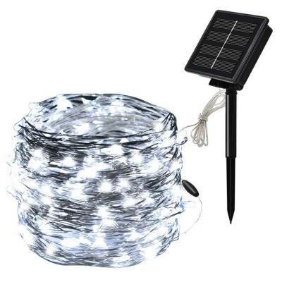 China New Hot Style Plastic+Copper Grape Battery Box Outdoor Waterproof Copper Wire String Lights Christmas Decoration Led Copper Wire for sale