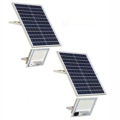 China Wholesale Price Outdoor Grape IP65 Waterproof Solar Powered Outdoor Led Solar Reflector 100w Flood Garden Light for sale