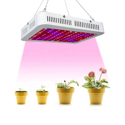 China Seed Starting Grape Best Led To Grow Lights 2020 300w 600w 1000w IR UV Dimmable Full Spectrum Hps Samsung lm301b Cob For Indoor Plants for sale