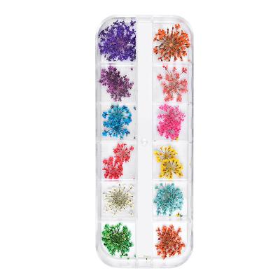 China 10 styles tamax 12 colors 3d acrylic flower for nail art design dried flower decorations for sale