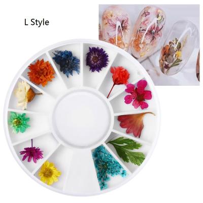 China 10 Styles NA054 12 Colors Dry Natural Daisy Gypsophila DIY Flower Nail Art Decorations Nail Stickers Accessories For Nails for sale